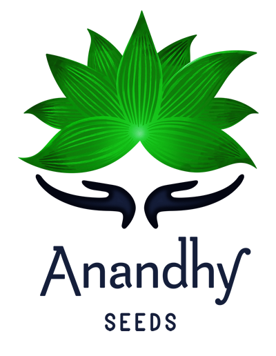 Anandhy Empresas